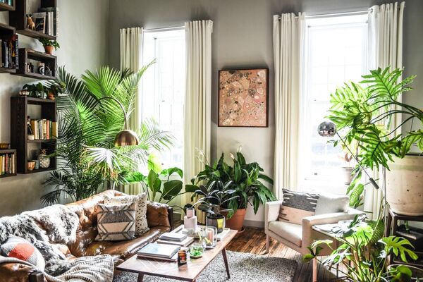 Bright living space with several houseplants near a large window